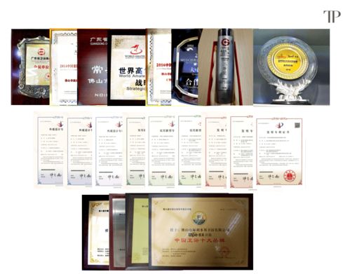 緹派多功能智能衛浴工程技術研究中心榮獲市級認定，引領技術咨詢新篇章